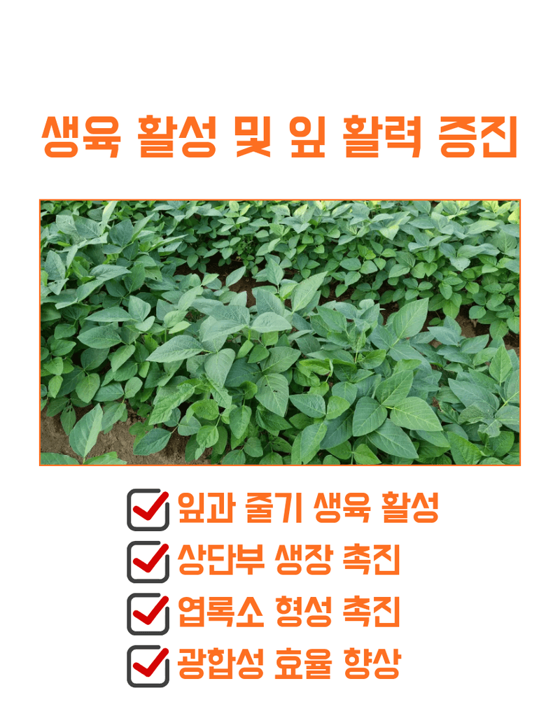 농업마켓365님의 장터 판매 상품 [아미노50 500ml 고농축 L-아미노산영양제 식물영양제 생육활력제] 첨부 사진