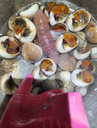 최은오님의 자유주제 · 자유게시판 작성글 사진