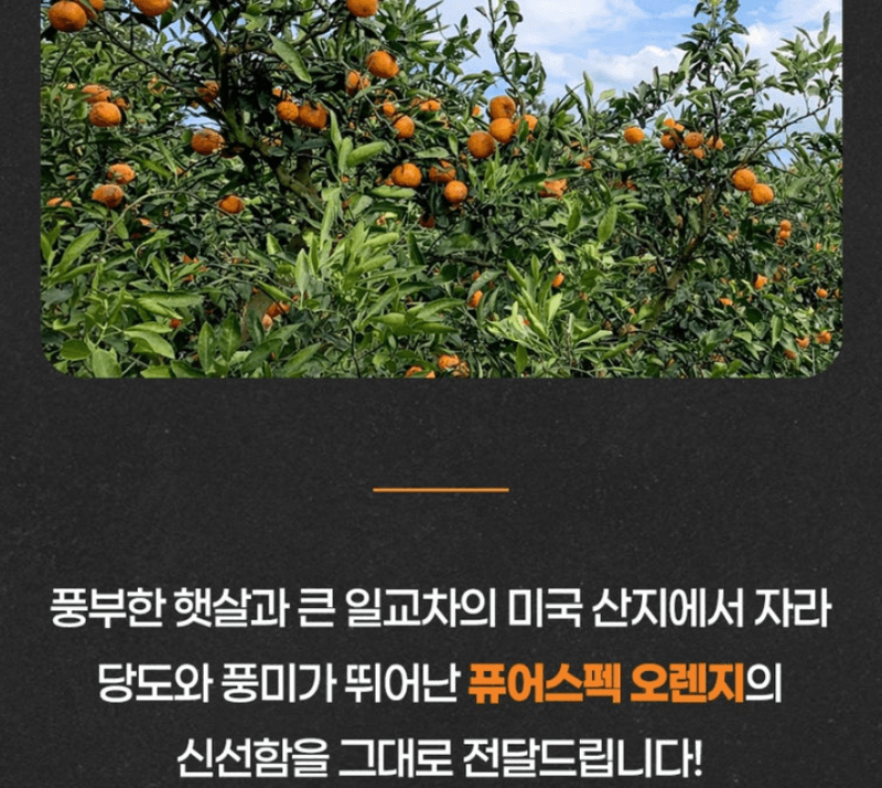 스피드번님의 장터 판매 상품 [특가 퓨어스펙 블랙라벨 오렌지] 첨부 사진