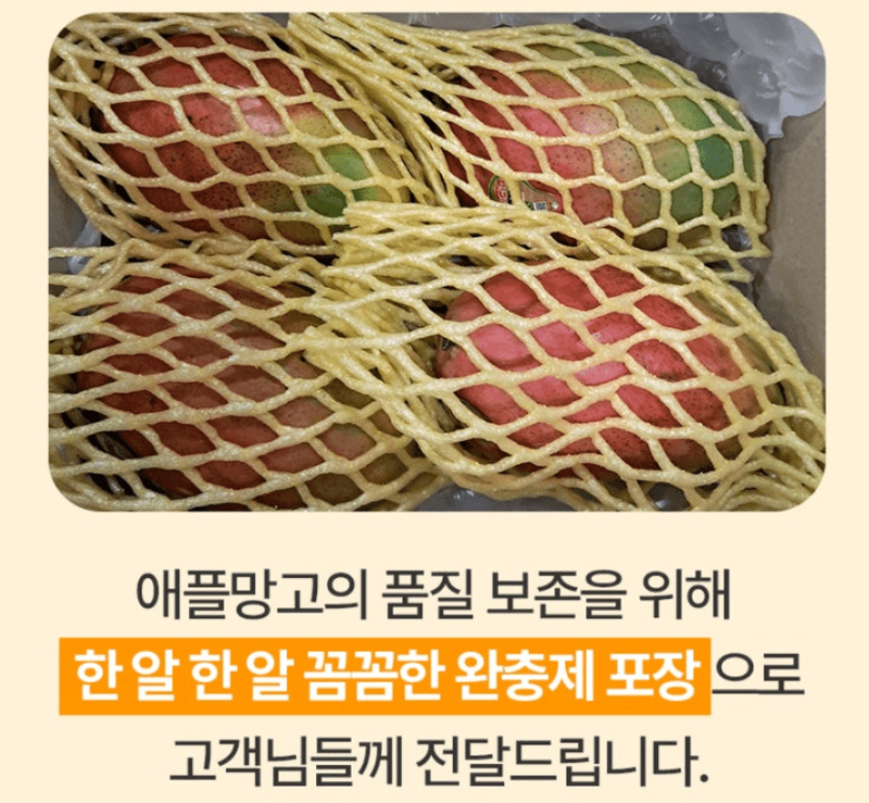 스피드번님의 장터 판매 상품 [초특가 애플망고 ] 첨부 사진