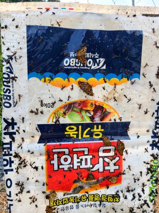 yooagasi님의 자유주제 · 자유게시판 작성글 사진