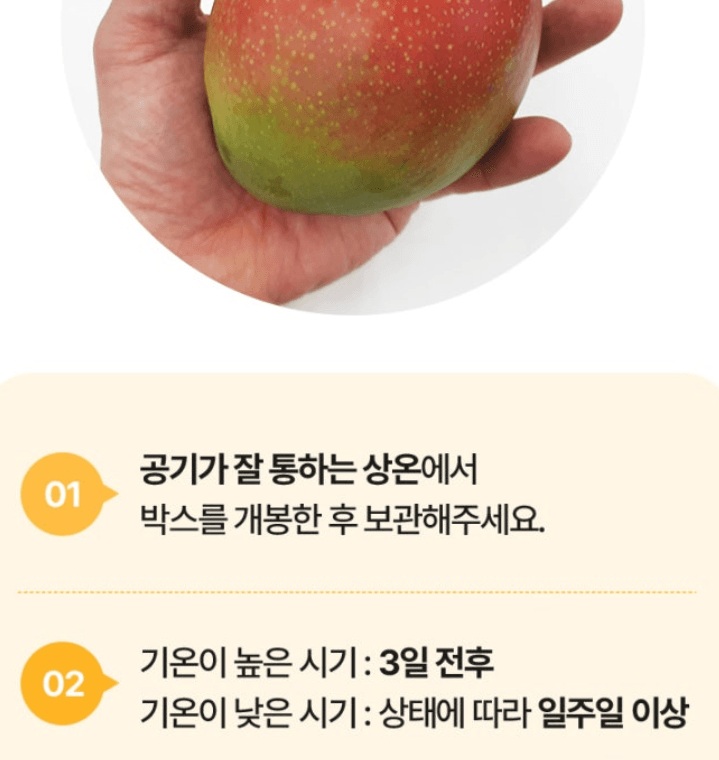 스피드번님의 장터 판매 상품 [초특가 애플망고 ] 첨부 사진