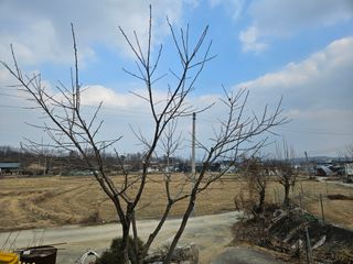 김시현 님의 자유주제 · 자유게시판 작성글 사진