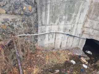 김용대님의 자유주제 · 자유게시판 작성글 사진