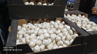 석승인님의 자유주제 · 자유게시판 작성글 사진