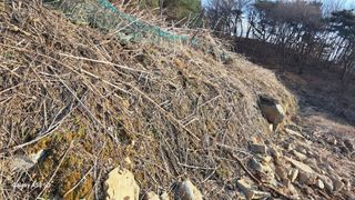 나도농부님의 자유주제 · 자유게시판 작성글 사진