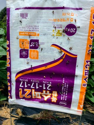 yooagasi님의 자유주제 · 자유게시판 작성글 사진