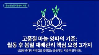 엔피코뉴스님의 자유주제·자유게시판 작성글 사진