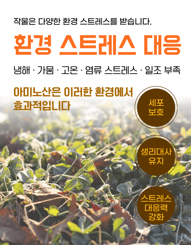 농업마켓365님의 장터 판매 상품 [아미노50 500ml 고농축 L-아미노산영양제 식물영양제 생육활력제] 첨부 사진