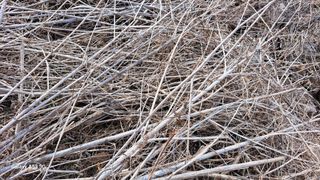 나도농부님의 자유주제 · 자유게시판 작성글 사진