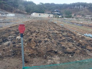 정연국님의 자유주제 · 자유게시판 작성글 사진