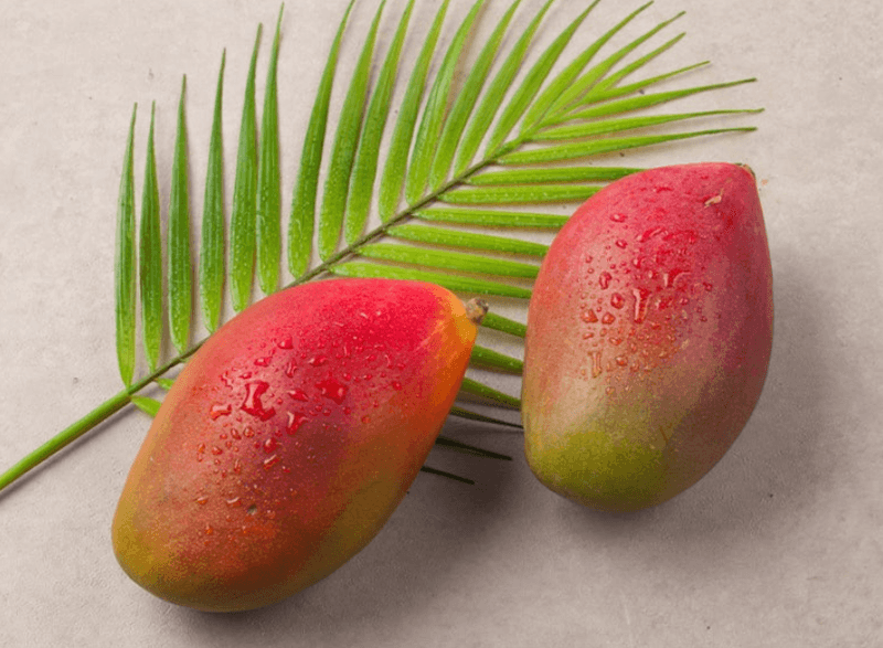 스피드번님의 장터 판매 상품 [초특가 애플망고 ] 첨부 사진