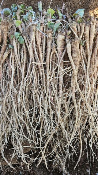 조병대님의 자유주제 · 자유게시판 작성글 사진