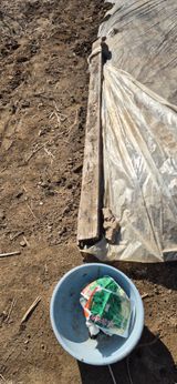 팜모닝 · 게시글 이미지