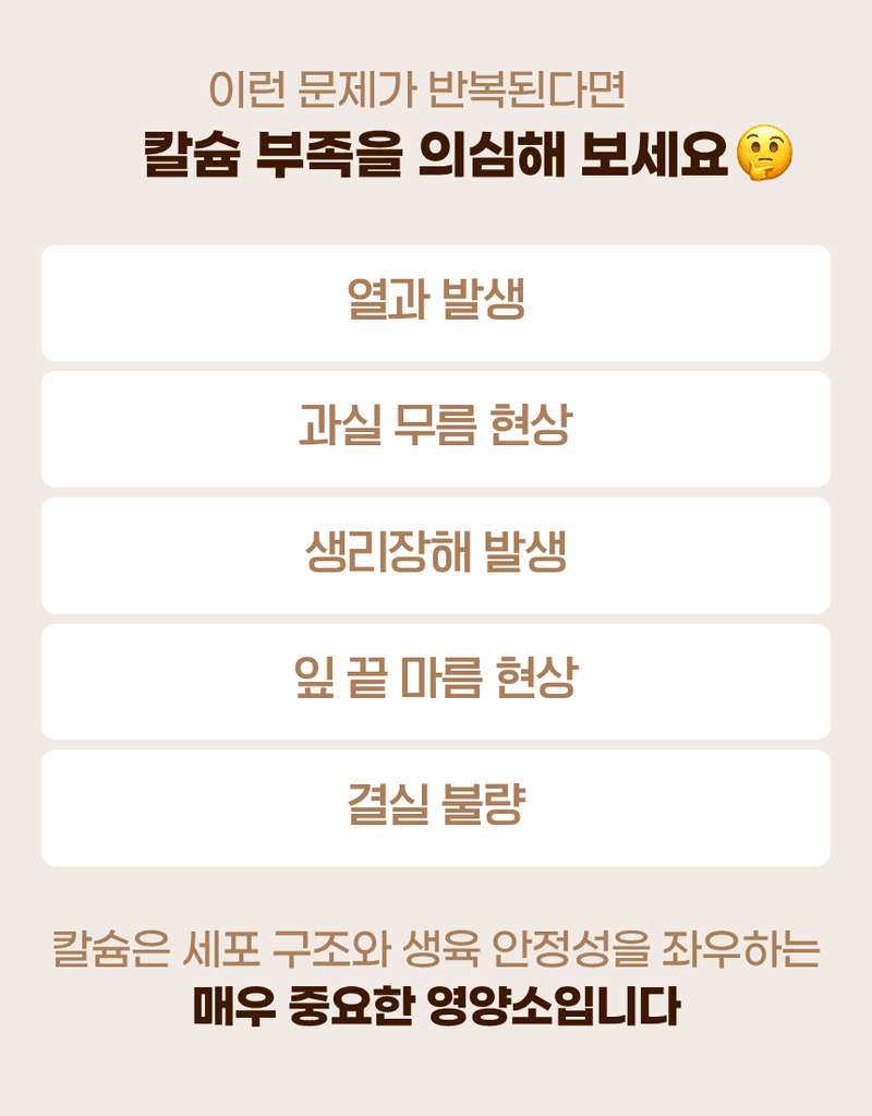 농업마켓365님의 장터 판매 상품 [파워칼B 액제 500ml 칼슘 21% 붕소 4% 식물칼슘제 유기산킬레이트칼슘 식물영양제] 첨부 사진