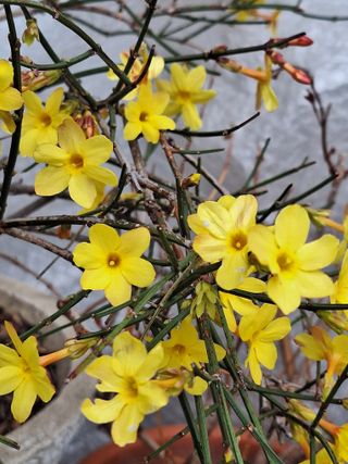 남 샘결 개둥맘님의 작성글 사진