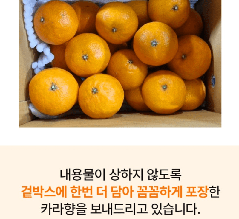 스피드번님의 장터 판매 상품 [제주도 카라향 ] 첨부 사진