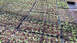 당진님의 자유주제 · 자유게시판 작성글 사진