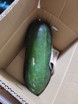 팜모닝 자유주제·자유게시판 게시글 이미지