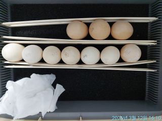 황대헌님의 자유주제 · 자유게시판 작성글 사진