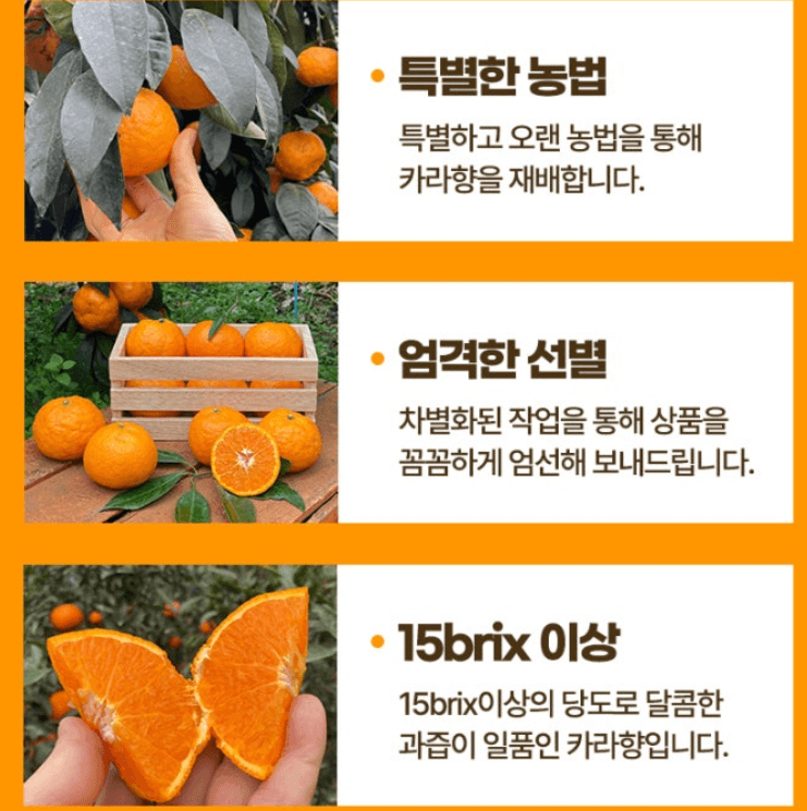 스피드번님의 장터 판매 상품 [제주도 카라향 ] 첨부 사진