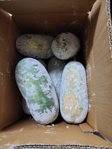 원빈님의 자유주제·자유게시판 작성글 사진