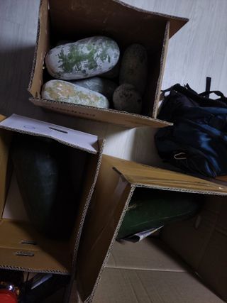 원빈님의 자유주제 · 자유게시판 작성글 사진