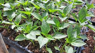 당진님의 자유주제 · 자유게시판 작성글 사진