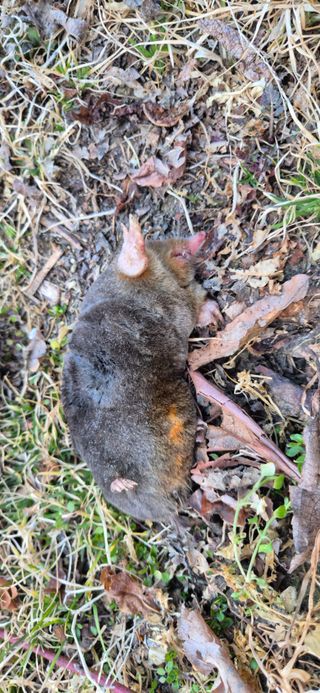 이상윤님의 자유주제 · 자유게시판 작성글 사진