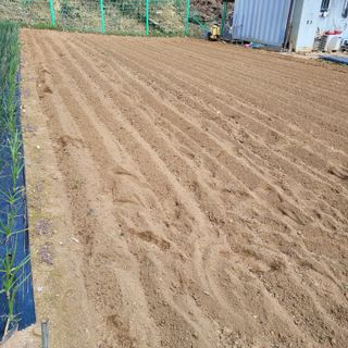 이창화님의 자유주제 · 자유게시판 작성글 사진