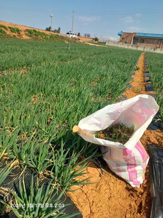 승기님의 자유주제 · 자유게시판 작성글 사진