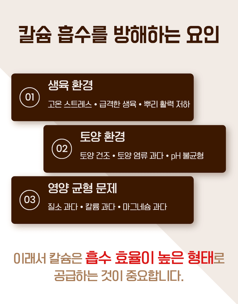 농업마켓365님의 장터 판매 상품 [파워칼B 액제 500ml 칼슘 21% 붕소 4% 식물칼슘제 유기산킬레이트칼슘 식물영양제] 첨부 사진