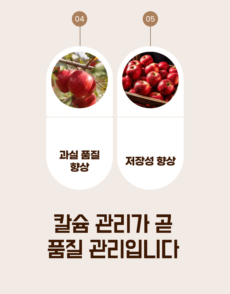 농업마켓365님의 장터 판매 상품 [파워칼B 액제 500ml 칼슘 21% 붕소 4% 식물칼슘제 유기산킬레이트칼슘 식물영양제] 첨부 사진