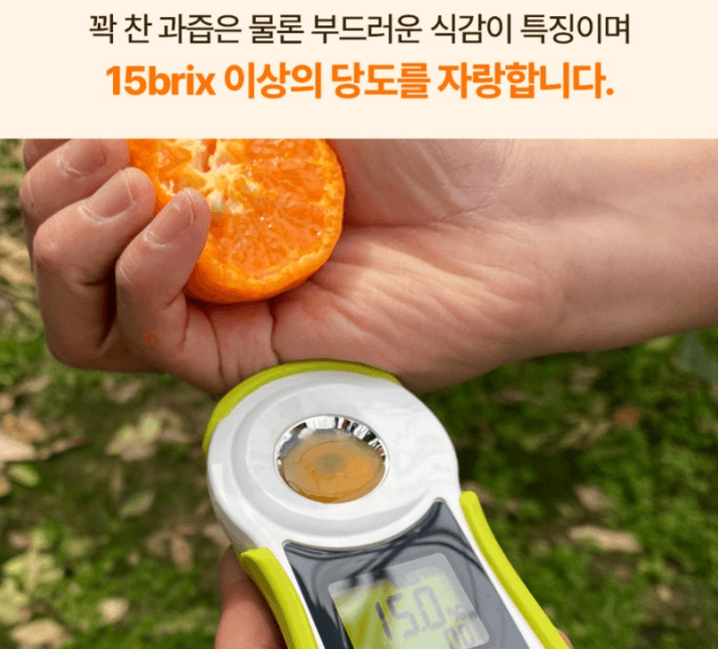스피드번님의 장터 판매 상품 [제주도 카라향 ] 첨부 사진