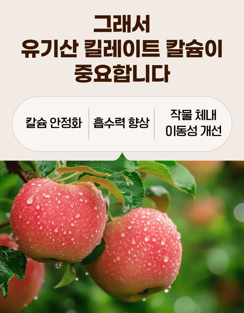 농업마켓365님의 장터 판매 상품 [파워칼B 액제 500ml 칼슘 21% 붕소 4% 식물칼슘제 유기산킬레이트칼슘 식물영양제] 첨부 사진