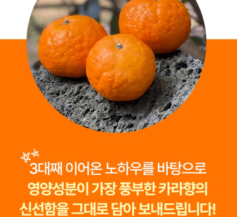 스피드번님의 장터 판매 상품 [제주도 카라향 ] 첨부 사진