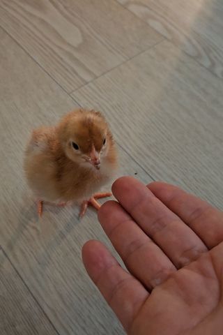 유기농으로키우자님의 자유주제 · 자유게시판 작성글 사진