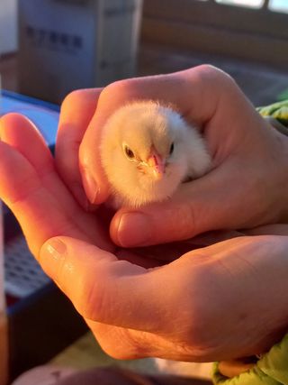 유기농으로키우자님의 자유주제 · 자유게시판 작성글 사진