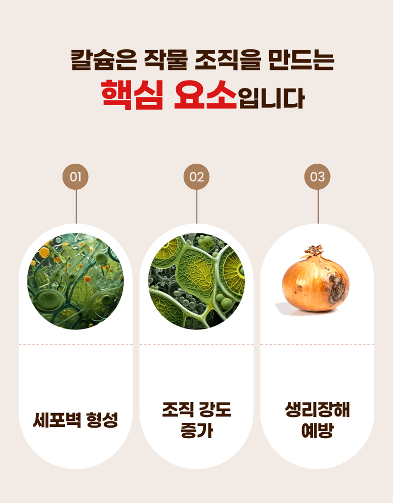 농업마켓365님의 장터 판매 상품 [파워칼B 액제 500ml 칼슘 21% 붕소 4% 식물칼슘제 유기산킬레이트칼슘 식물영양제] 첨부 사진