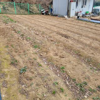 이창화님의 자유주제 · 자유게시판 작성글 사진