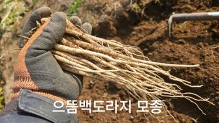 조병대님의 자유주제 · 자유게시판 작성글 사진