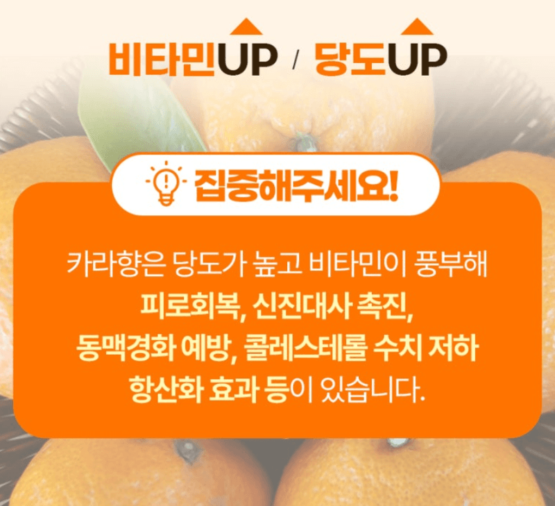 스피드번님의 장터 판매 상품 [제주도 카라향 ] 첨부 사진