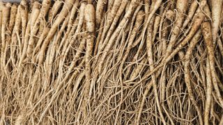 조병대님의 자유주제 · 자유게시판 작성글 사진