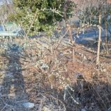 팜모닝 자유주제·자유게시판 게시글 이미지