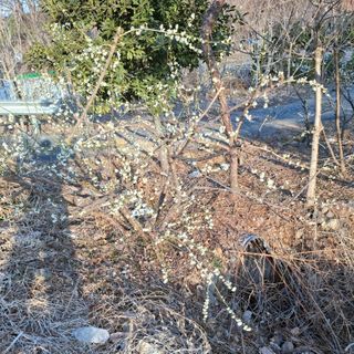 오영도님의 자유주제 · 자유게시판 작성글 사진