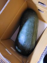 원빈님의 자유주제·자유게시판 작성글 사진