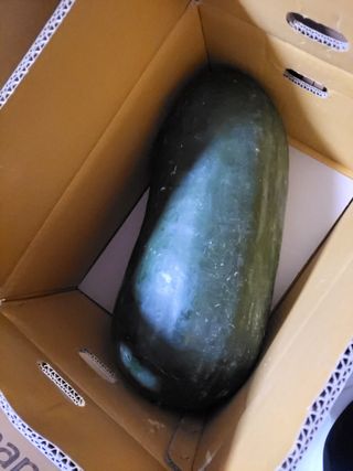 원빈님의 자유주제 · 자유게시판 작성글 사진