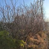 오영도님의 자유주제·자유게시판 작성글 사진