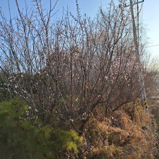 오영도님의 자유주제 · 자유게시판 작성글 사진