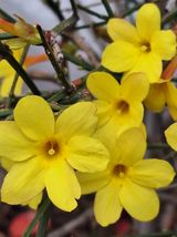 팜모닝 · 게시글 이미지